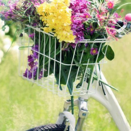 Fragancia Primaveral - Bicicleta con flores en el campo