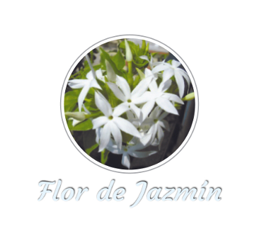 Fragancia flor de Jazmín
