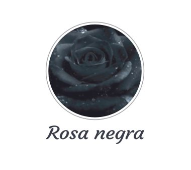 Fragancia Rosa Negra
